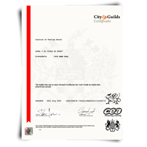 Fake City and Guilds Certificate