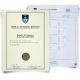 Fake Diploma & Transcript from South Africa University