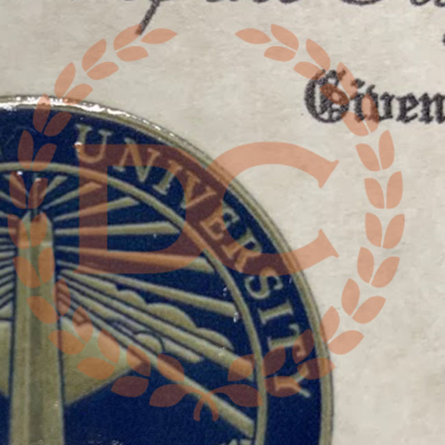 Raised Seal Featuring Blue & Gold Layers! Notice Embossed Ring Top of Seal!!! blue and gold raised diploma seal, embossed diploma seal, embossed raised layer seal, best quality fake diploma seals
