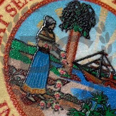Embossed state seal in full rich colors full color embossed seal on a fake florida diploma