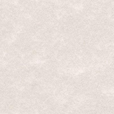 preview of pewter paper pewter diploma paper