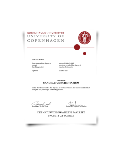 University of Copenhagen diploma featuring 2008 Kobenhavns Universitet layout with dark red school seal