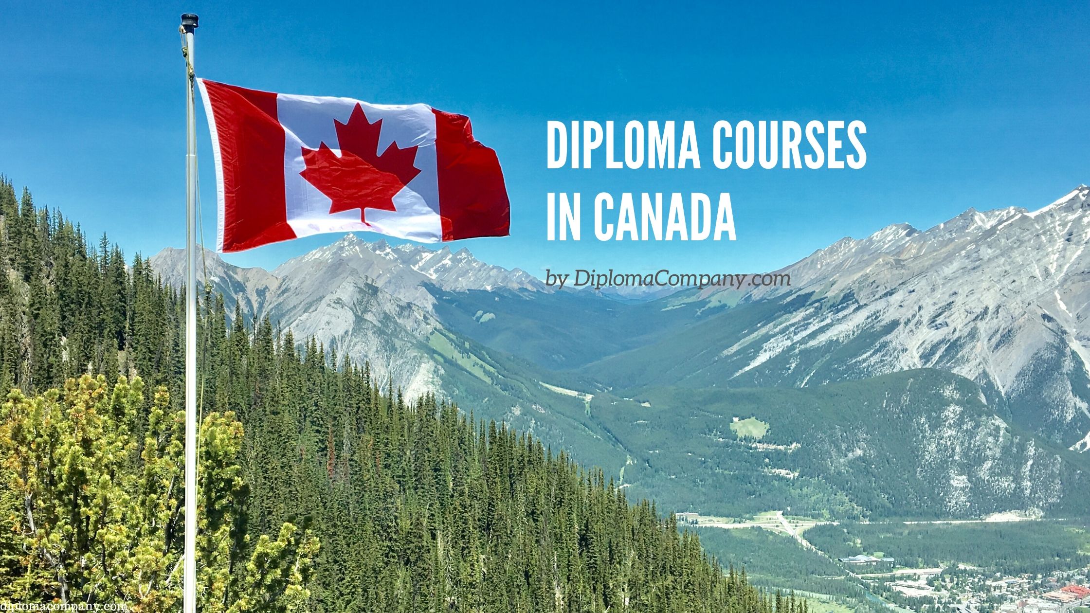 Top 10 Diploma Courses in Canada with Best Job Prospect