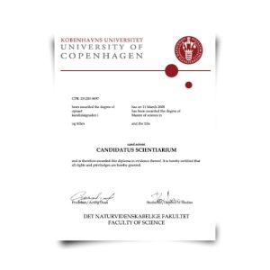 Denmark University Diploma