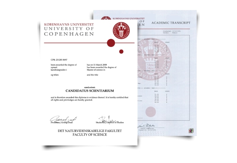 Denmark University Diploma & Transcript Set