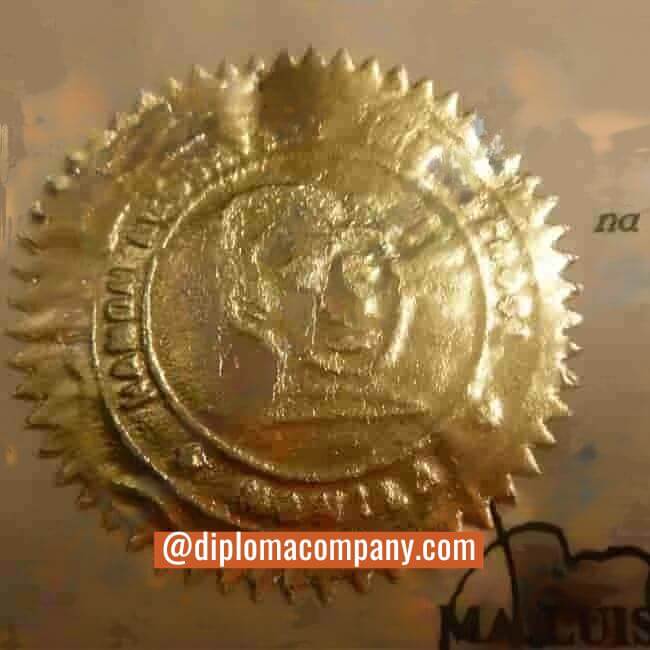 Close-up of raised embossed gold seal on replica diploma showing layered depth and texture