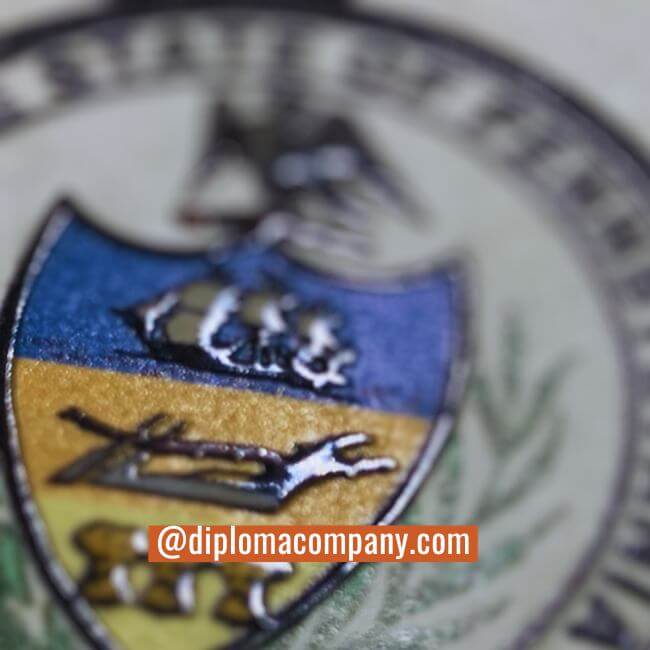 Replica university diploma featuring multi-color raised embossed seal with blue and silver detail