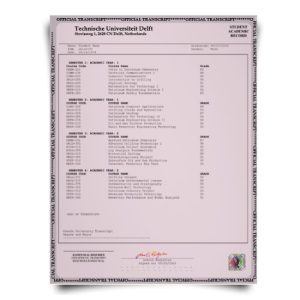 Netherlands University Transcript