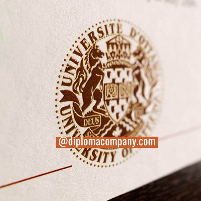 Close-up of raised embossed gold seal on replica university diploma