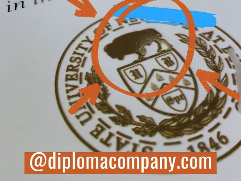 Close-up of embossed university seal design on replica diploma