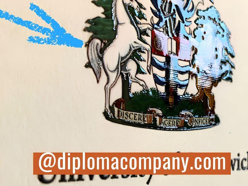 Full-color academic crest printed on diploma with embossed texture