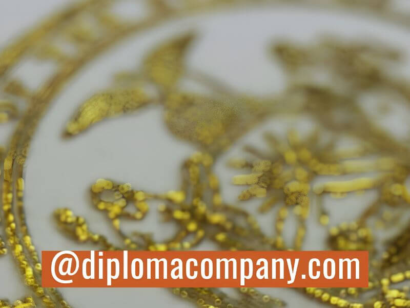 Detailed gold foil seal pressed onto diploma parchment